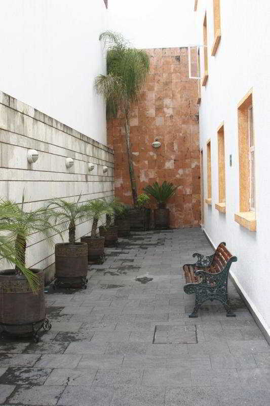 & Galeria Morelia